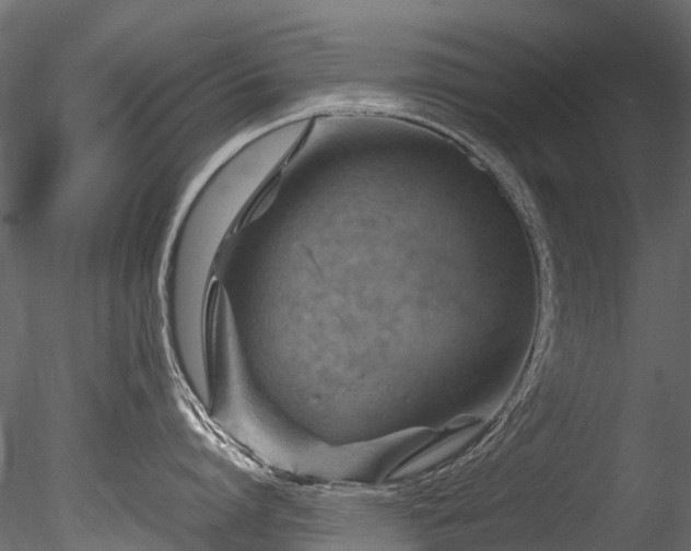 X0000085290864200703161448