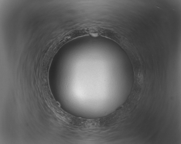 X0000085290865200703161447