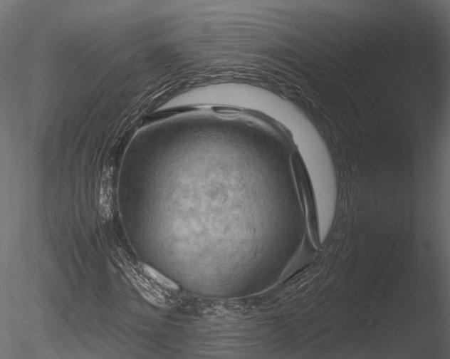 X0000085290868200703161447