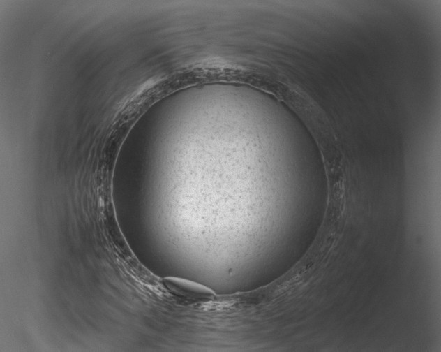 X0000085290870200703161447