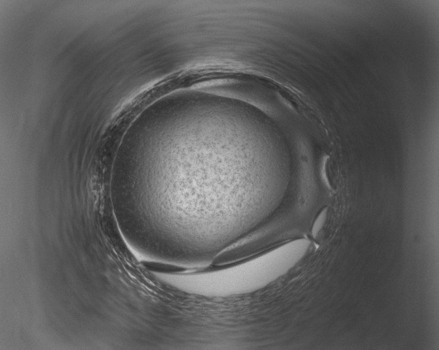 X0000085290872200703161447