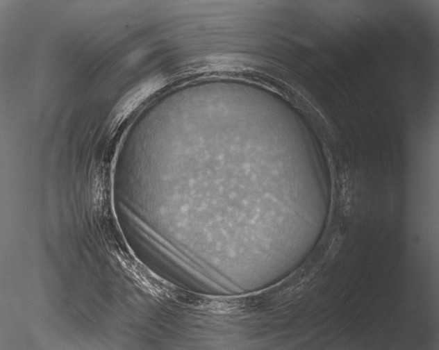 X0000085290874200703161447