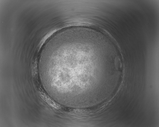 X0000085290875200703161447