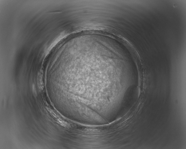 X0000085290878200703161447