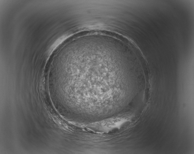 X0000085290879200703161447