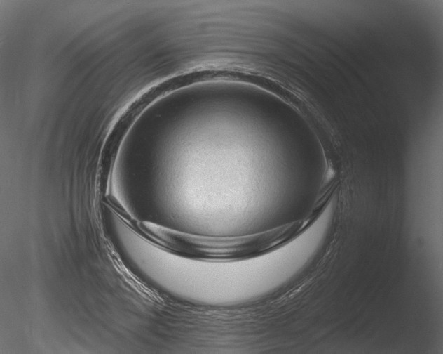 X0000085290880200703161447