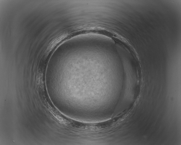 X0000085290881200703161447