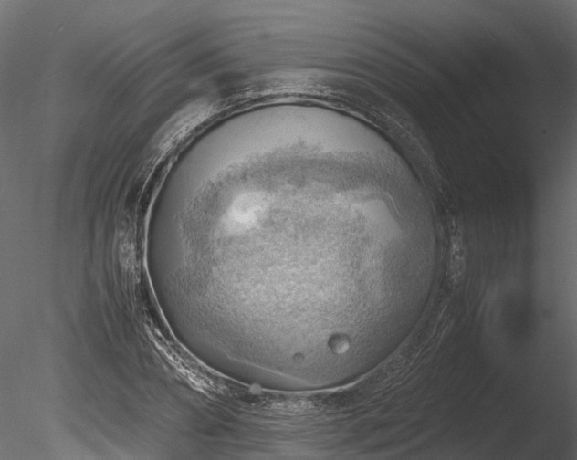 X0000085290882200703161447