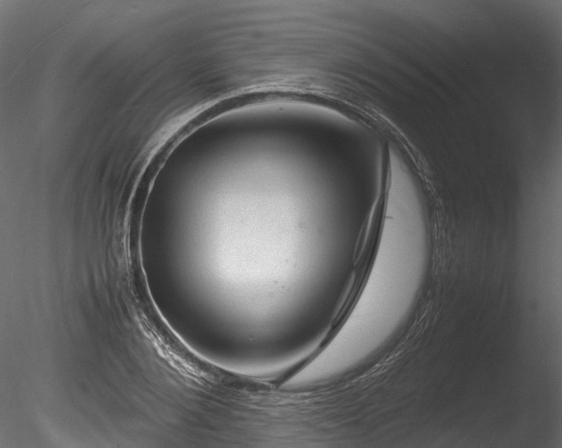 X0000085290884200703161447