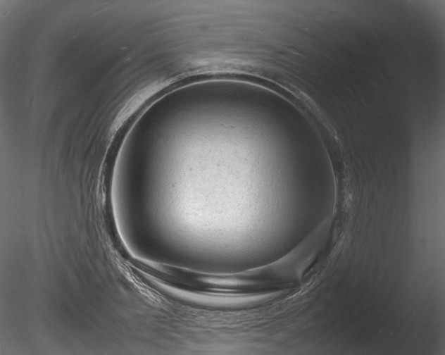 X0000085290885200703161447