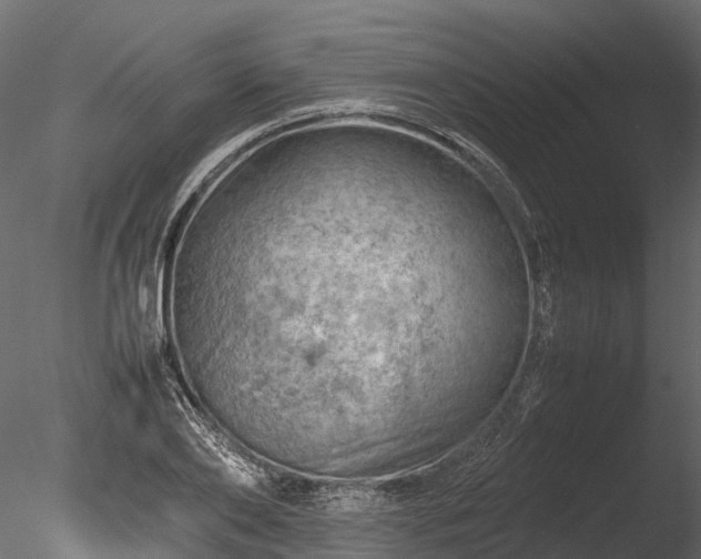 X0000085290886200703161447