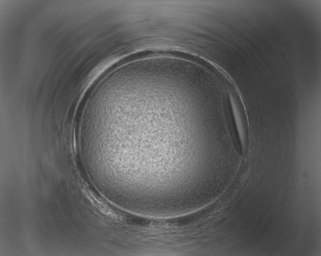 X0000085290887200703161447