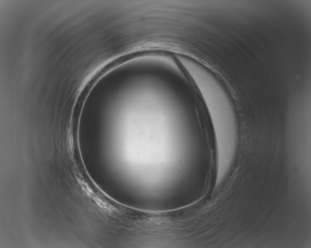 X0000085290888200703161447