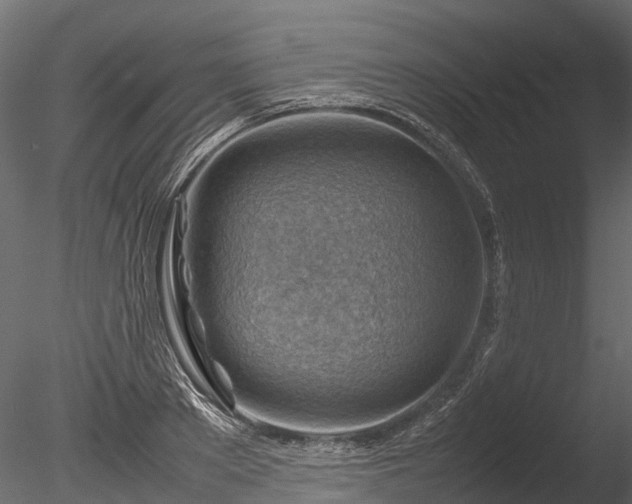 X0000085290889200703161447