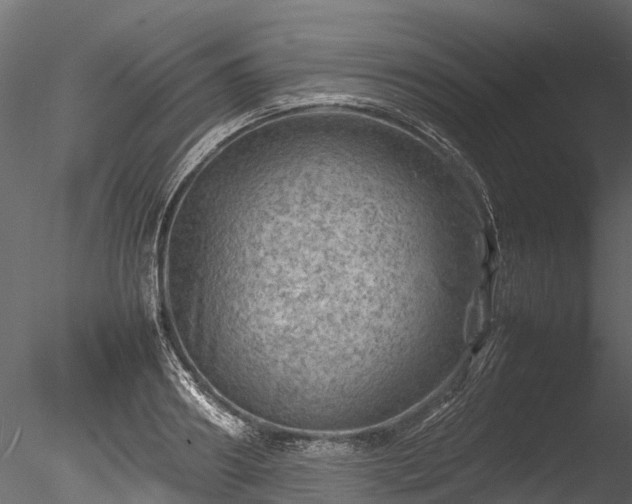 X0000085290890200703161447