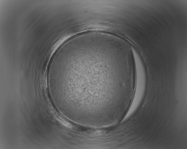 X0000085290891200703161447