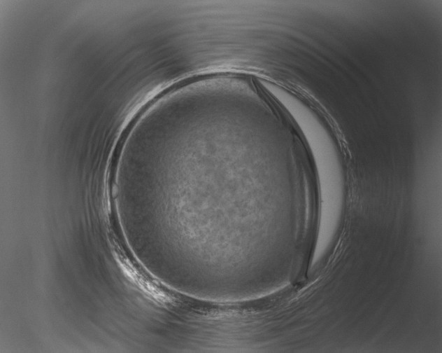 X0000085290892200703161447