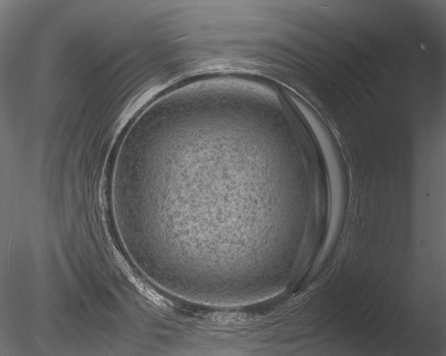 X0000085290893200703161447