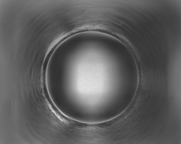 X0000085290894200703161447