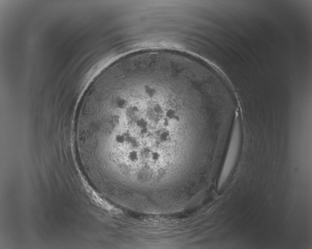 X0000085290895200703161447