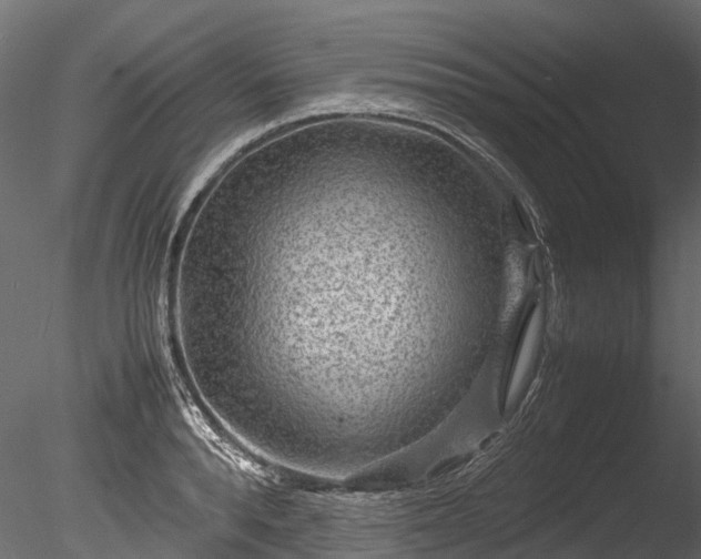 X0000085290896200703161447