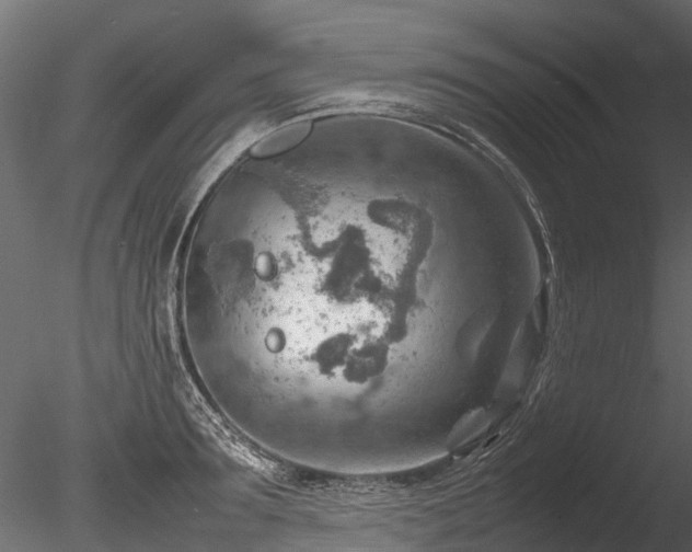 X0000085290899200703161447