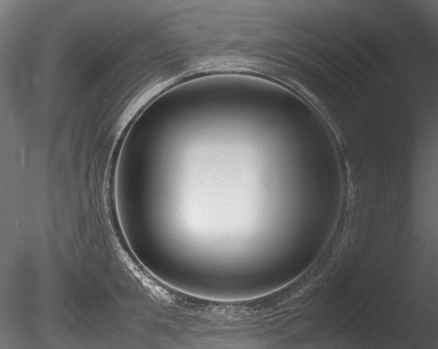 X0000085290901200703161447