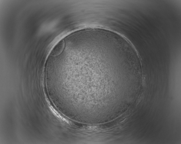 X0000085290903200703161447