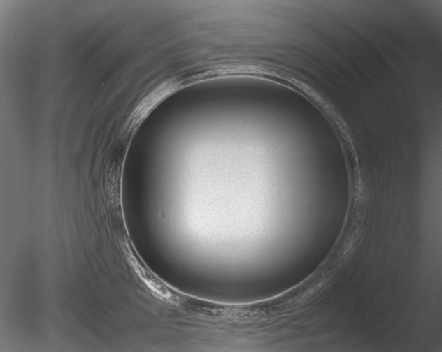 X0000085290905200703161447