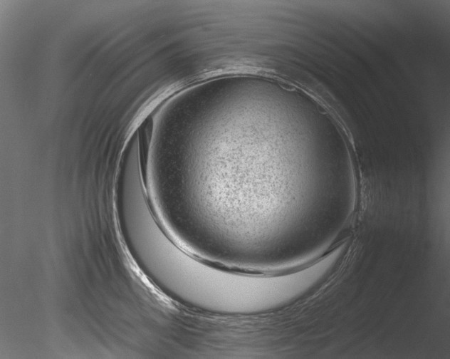 X0000085290906200703161447