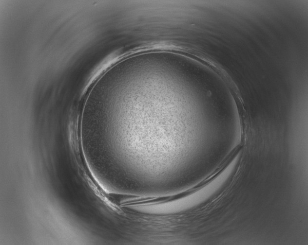 X0000085290910200703161447