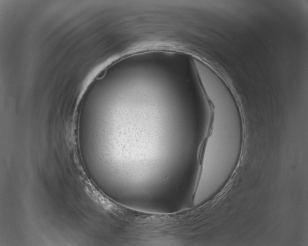 X0000085290912200703161447