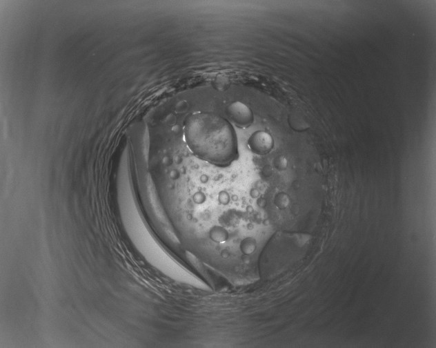 X0000085290913200703161446