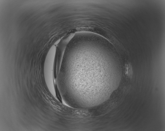 X0000085290915200703161446