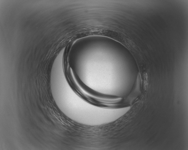 X0000085290916200703161446