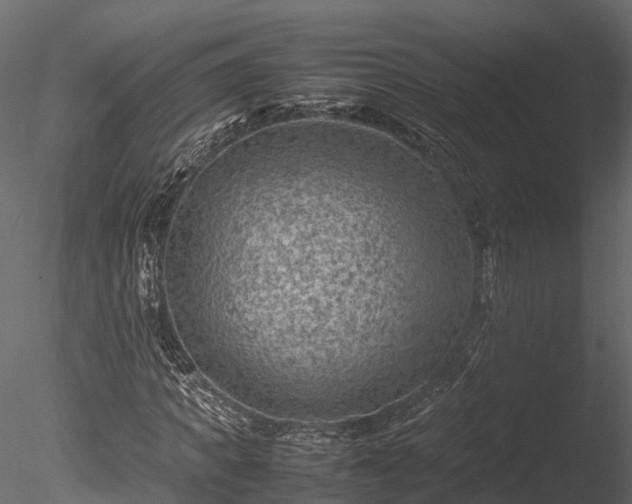 X0000085290917200703161446