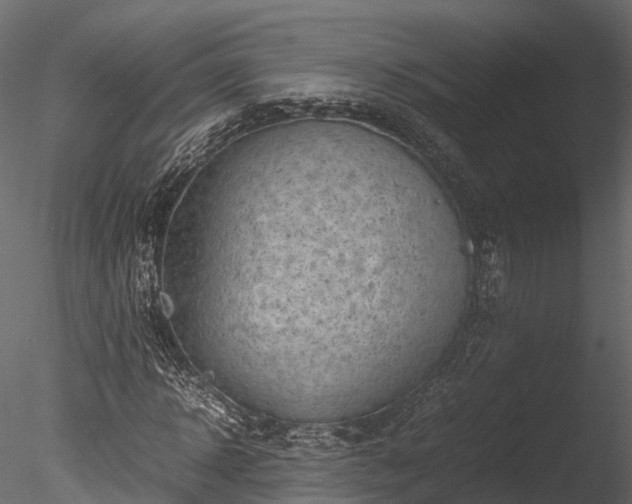 X0000085290918200703161446