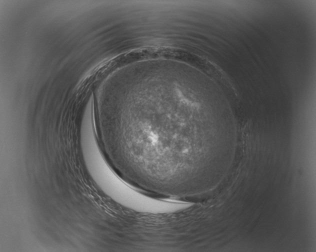 X0000085290919200703161446