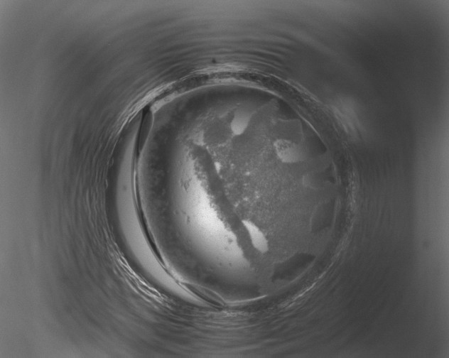 X0000085290921200703161446