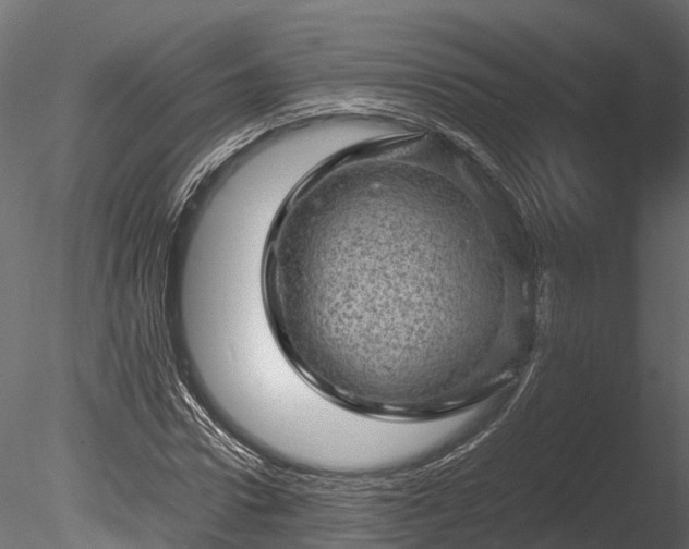 X0000085290922200703161446