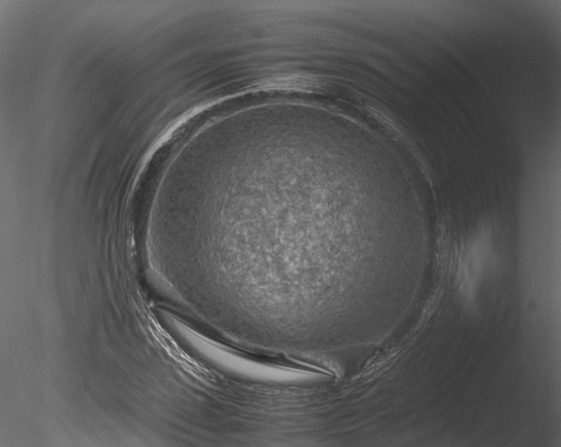 X0000085290923200703161446