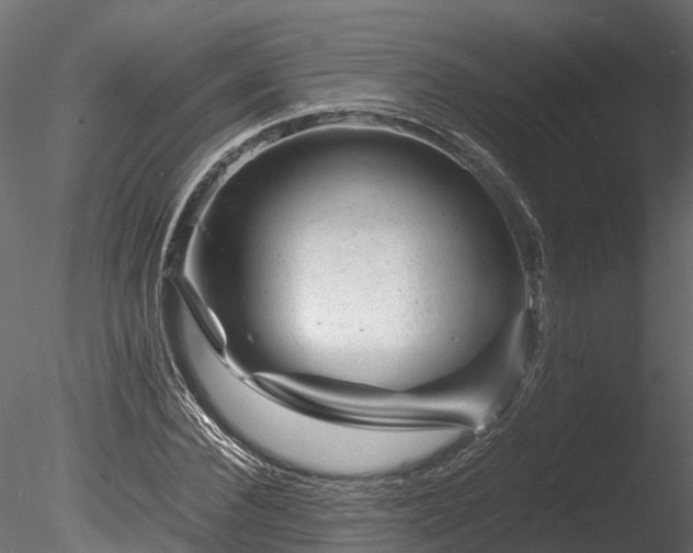 X0000085290924200703161446