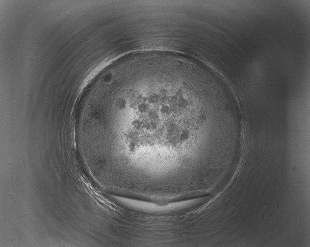 X0000085290925200703161446