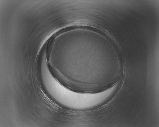 X0000085290926200703161446