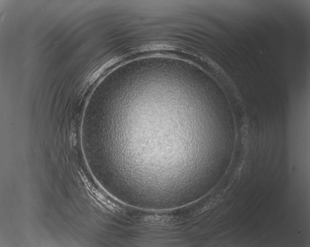 X0000085290929200703161446