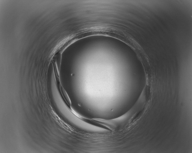 X0000085290930200703161446