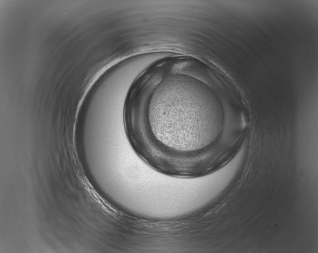 X0000085290932200703161446