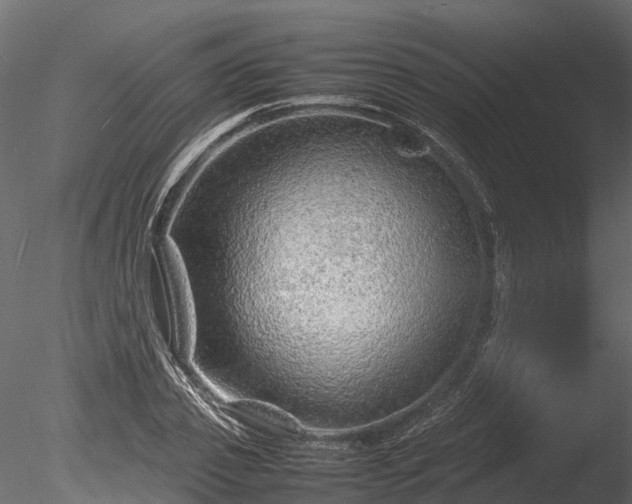 X0000085290933200703161446