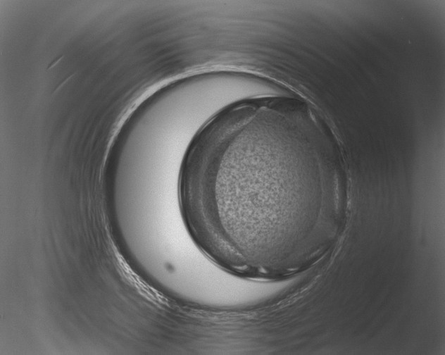 X0000085290934200703161446