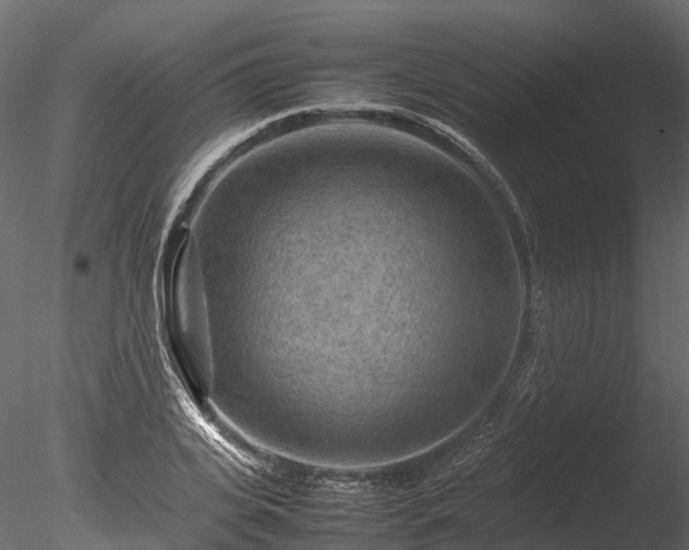 X0000085290935200703161446